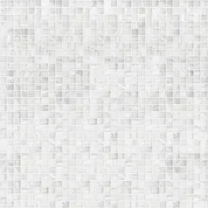 SMALTO 10 BISAZZA