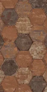 RED ESA