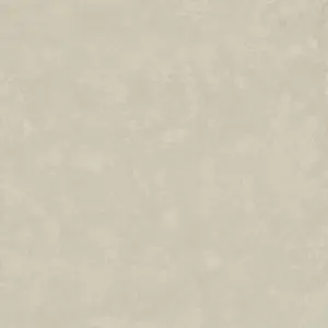 LIGHT GREY NAT/RET