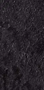 MINERAL CH. BLACK