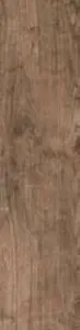 TEAK