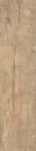 CEDAR