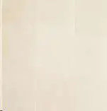 NEUTRA N AVORIO  R