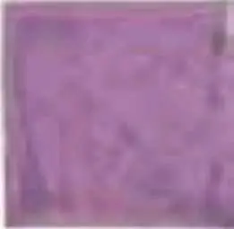 ORCHIDEA
