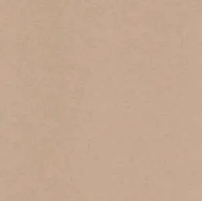 ICON BEIGE 60