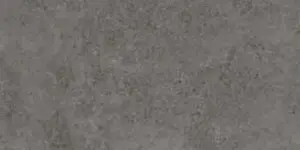 GRAPHITE LAP RETT
