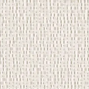 PHENOMENON AIR MUTINA