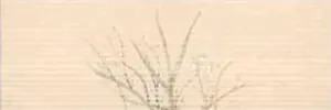 BEIGE ARBAL-C