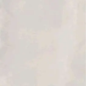 RESIN TOKYO WHITE LAP RETT