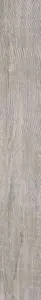 GRAY OAK 20MM R11