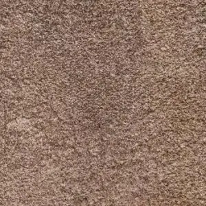 PORFIDO STRUT/RET