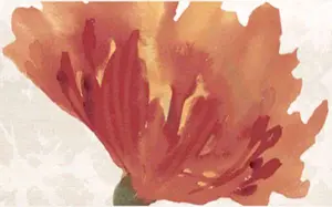 FLOR FUEGO