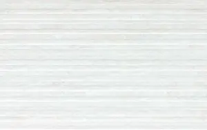 NEWTON BLANCO