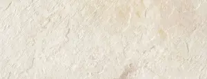 HNT 10 BIANCO