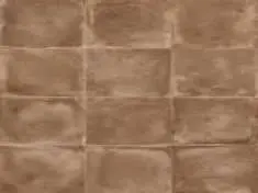 BROWN NAT