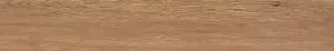 EVOKE SAND