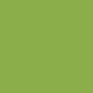 KIWI MATT.