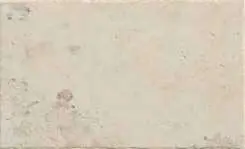 BONE ANTISLIP
