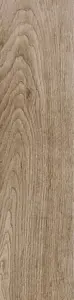 SELECTION OAK REX CERAMICHE