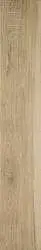 BEIGE SELECTION RETT
