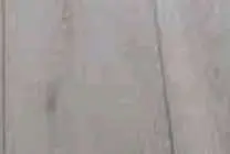 GRADINO ANGOLARE LINFA