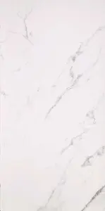 STATUARIO GRIGIO MAT/RET