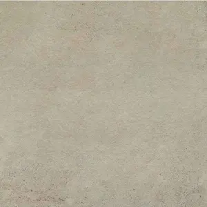 20MM TAUPE STRUT