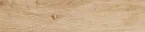 TECA ANT. RET