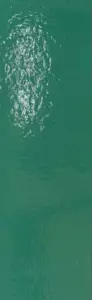 VERT 59