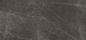 DARK POLI
