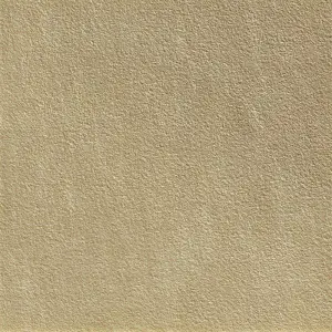 SANDY WHITE RETT