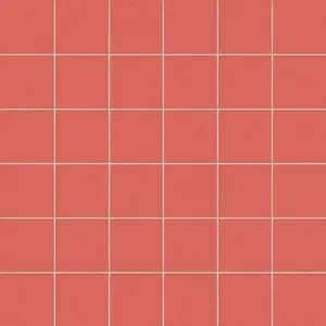 MOSAICO 5X5 SU RETE CORALLO