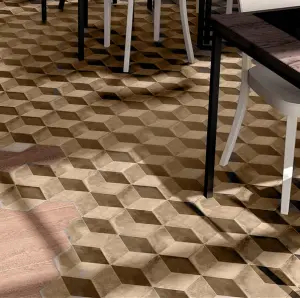 TER.CUBO ESA VERS.C 