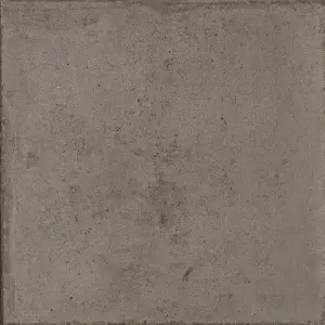 TERRA