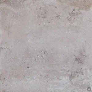 GREY NAT