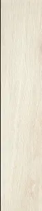 WHITE NAT