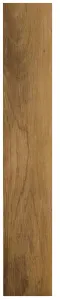 NOCE STRUT/RET