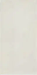 TRAMA WHITE