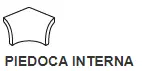 PIEDOCA INTERNA COBALTO