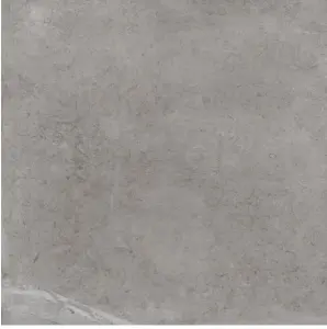 SILVER STRUT/RET