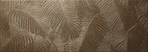 KENTIA BRONZE RET