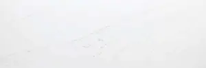 RIVOLI GLOSS