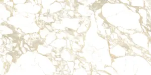GOLD DOUBLE POLISHED