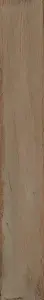 BEIGE NAT