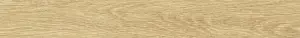 LIGHT BEIGE AS