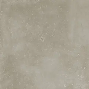 GREY NAT