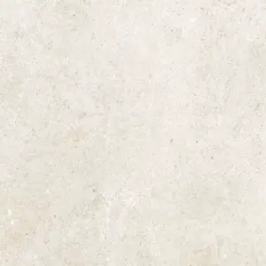 AVORIO RET