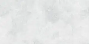 WHITE NAT/RT