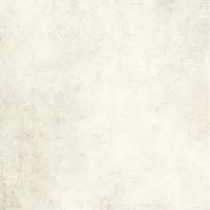 FP2 NEUTRAL