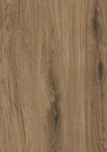 ROVERE STRUT/RETT